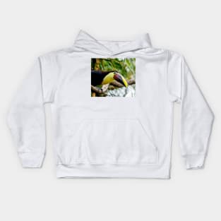 cli toucan Kids Hoodie